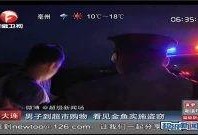 最新偷鱼爆料新闻视频下载,视频揭露惊人内幕，揭秘黑幕背后真相