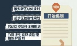 爆料资讯解读最新文章内容,爆料资讯揭示最新文章内幕