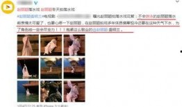 蓝姓艺人爆料视频大全集,揭秘娱乐圈不为人知的秘密