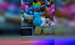 夹娃娃高手爆料视频大全,视频大全中的技巧与攻略