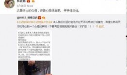 关于娱乐圈的真实爆料的直播,揭秘明星背后的故事