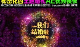 神秘人爆料素材视频,视频素材背后的惊人真相