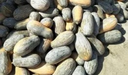 襄县免费吃瓜,免费吃瓜活动来袭，清凉一夏尽享瓜果盛宴