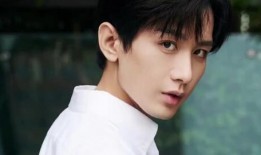 博主爆料成毅是真的吗视频,成毅真实情况揭秘，视频证据引热议