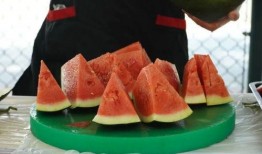 民航大学免费吃瓜,免费瓜果盛宴，学子共享甜蜜时光