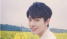 圈内爆料肖战贾乃亮视频,背后真相引人猜测