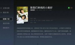 记录青春在线观看,记录成长的青春足迹