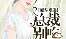 小说吃瓜叶姐免费阅读,宫廷秘闻与权谋风云