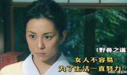 野兽之道在线观看,探寻自然与人性交织的生存法则