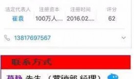 赛诺最新爆料信息查询,揭秘行业动态与市场趋势