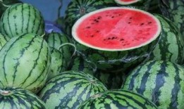 库尔勒吃瓜网红事件,网络热议背后的真相揭晓