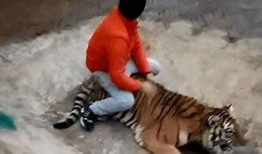 双胞胎饲养员爆料视频