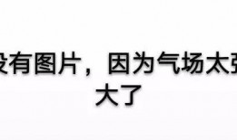 在哪看年度爆料新闻,各大平台独家新闻大汇总