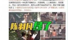 陈勇士爆料人员是谁呀视频,揭秘神秘爆料人员身份之谜