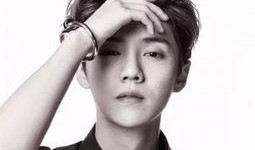 鹿晗小天后爆料了吗视频