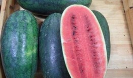 山东最新吃瓜爆料事件,神秘事件背后真相揭晓