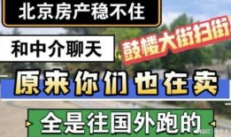 坑梓中介爆料事件最新,揭露行业乱象背后的真相
