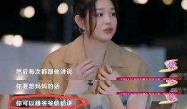 刘大锤爆料董洁视频,真相大白引热议