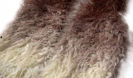 最新羊毛爆料图片,潮流趋势与实用技巧一网打尽