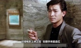 刘德华大姐爆料事件视频,揭秘娱乐圈不为人知的幕后真相