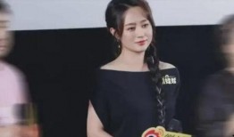 爆料马丽老公是谁呀视频,视频爆料揭示惊人真相