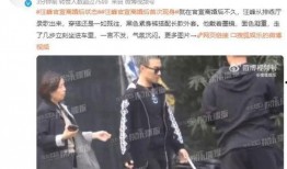 狗仔爆料汪峰视频,汪峰私密视频曝光，揭秘明星生活幕后