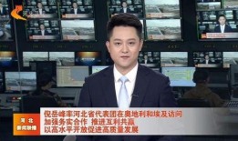 河北卫视新闻爆料,揭秘重大新闻事件背后真相