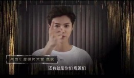 大光头爆料刘鑫视频,揭秘背后惊人内幕