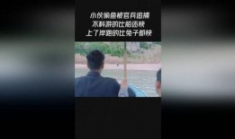 最新偷鱼爆料新闻视频下载,视频揭露惊人内幕，揭秘黑幕背后真相