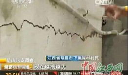 瑞昌新闻爆料事件最新,真相大白，背后原因令人震惊