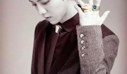 鹿晗爸爸天涯爆料视频播放,揭秘明星家庭背后的故事