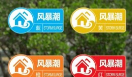 深圳网友周大姐爆料视频,揭秘事件背后真相