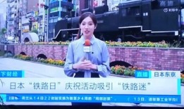 央视记者李茜文爆料视频,视频爆料背后的真相