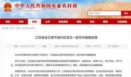 丰县最新爆料信息今天,揭秘事件背后惊人真相！