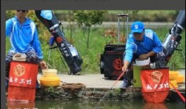 钓鱼频道在线观看,跟随钓鱼频道在线体验渔乐无穷
