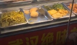 网友爆料鸭脖视频大全下载,鸭脖视频大全下载引发网络狂欢