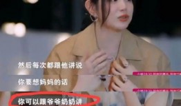 刘大锤爆料董洁视频,真相大白引热议