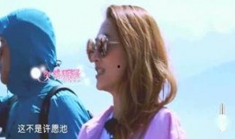 看娱乐第一爆料网站,看娱乐第一爆料网站最新动态