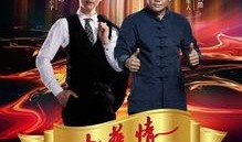 中央四套节目在线观看,全球视角下的中国故事