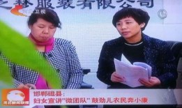 河北卫视新闻爆料,揭秘重大新闻事件背后真相
